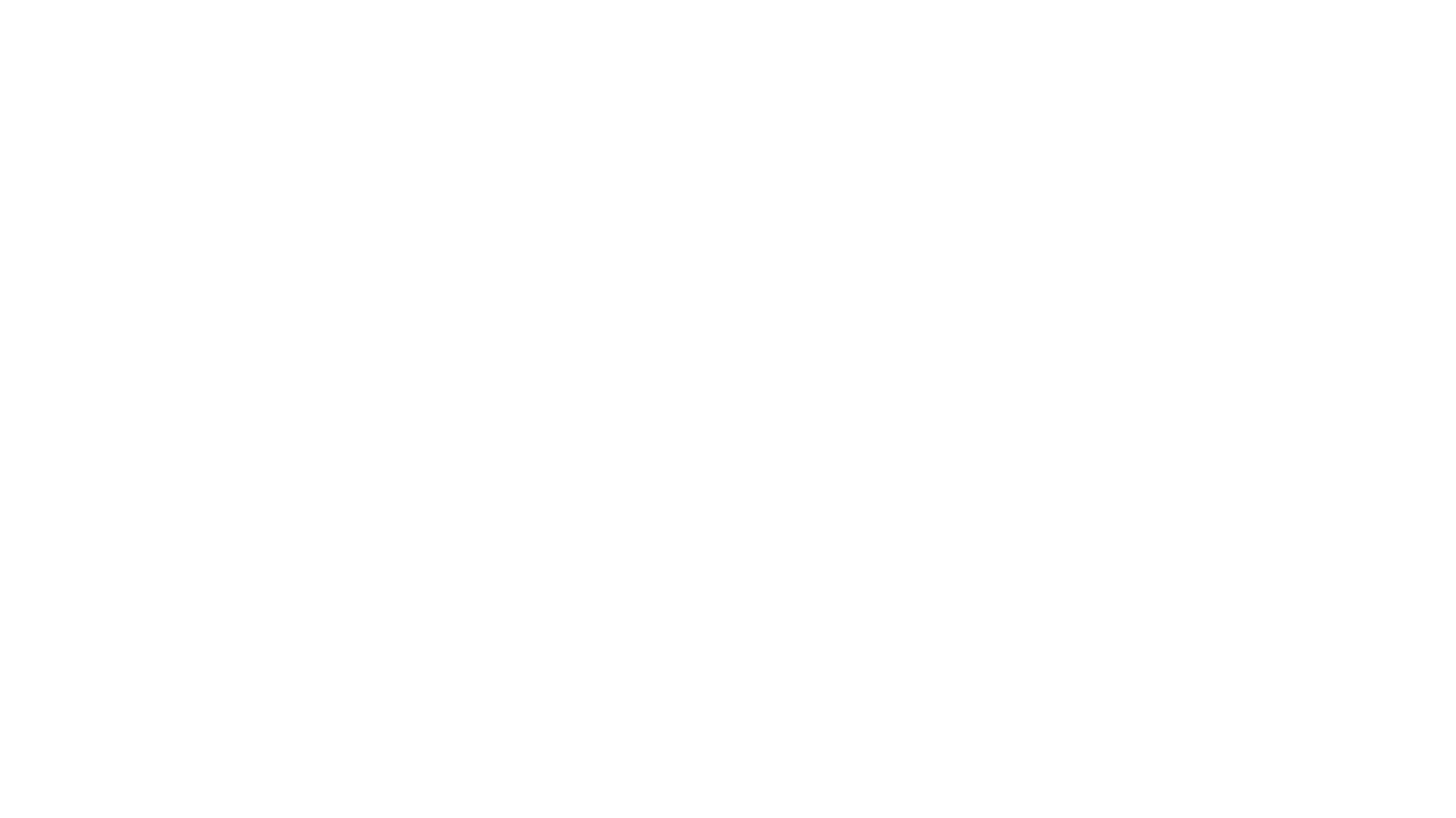 Smart Shield Logo White